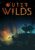 Outer Wilds cho PC
