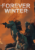 The Forever Winter cho PC